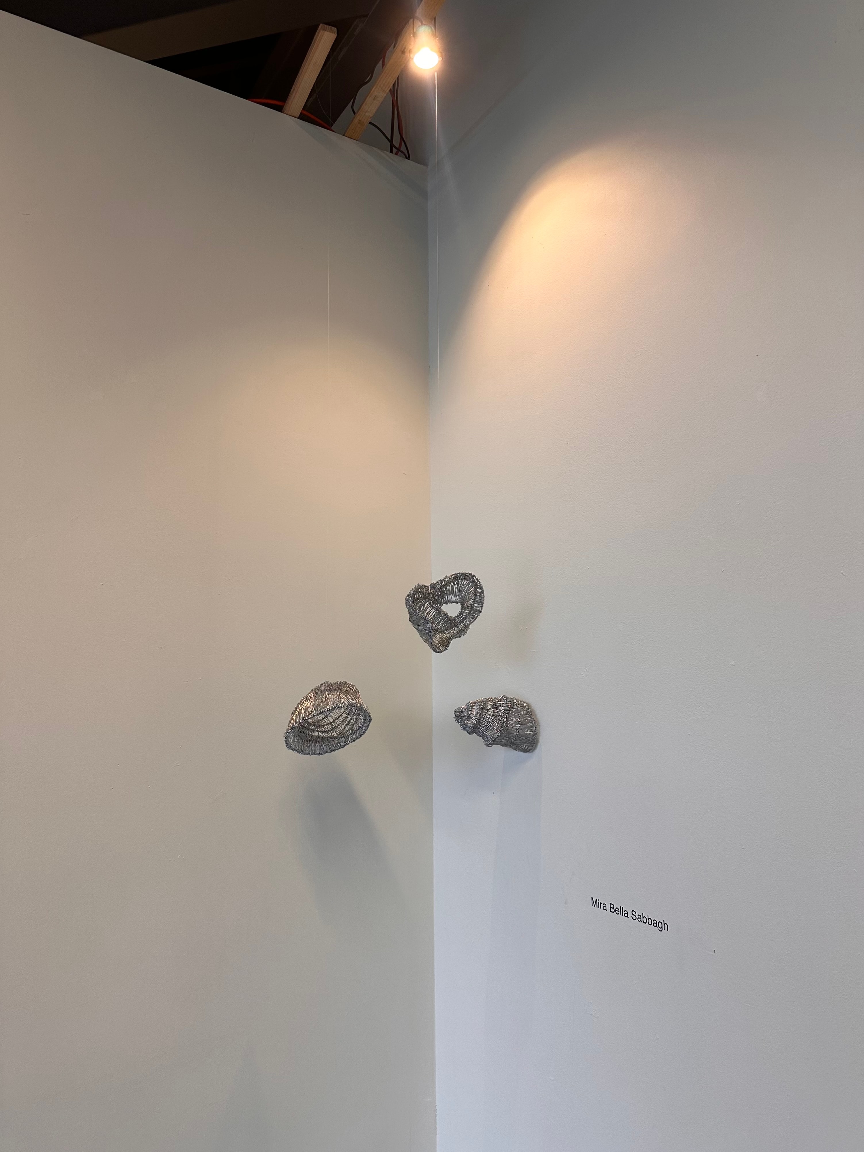 Reference image